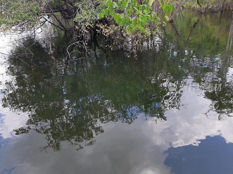 亚马逊地区- TAPAJOS - PARA